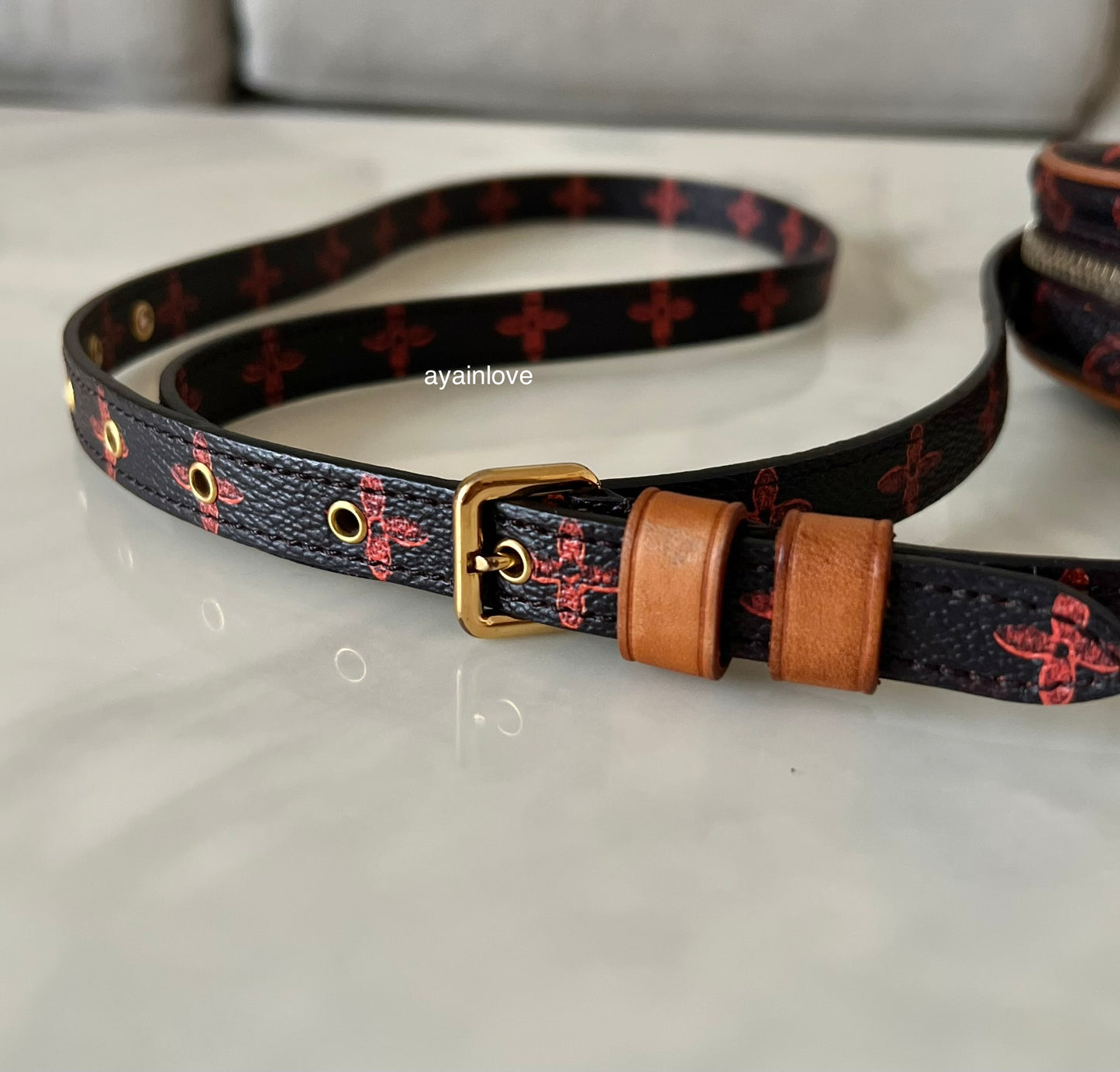 LOUIS VUITTON LV Limited Edition Maroon Orange Catogram Canvas Paname Single 20 cm Bag