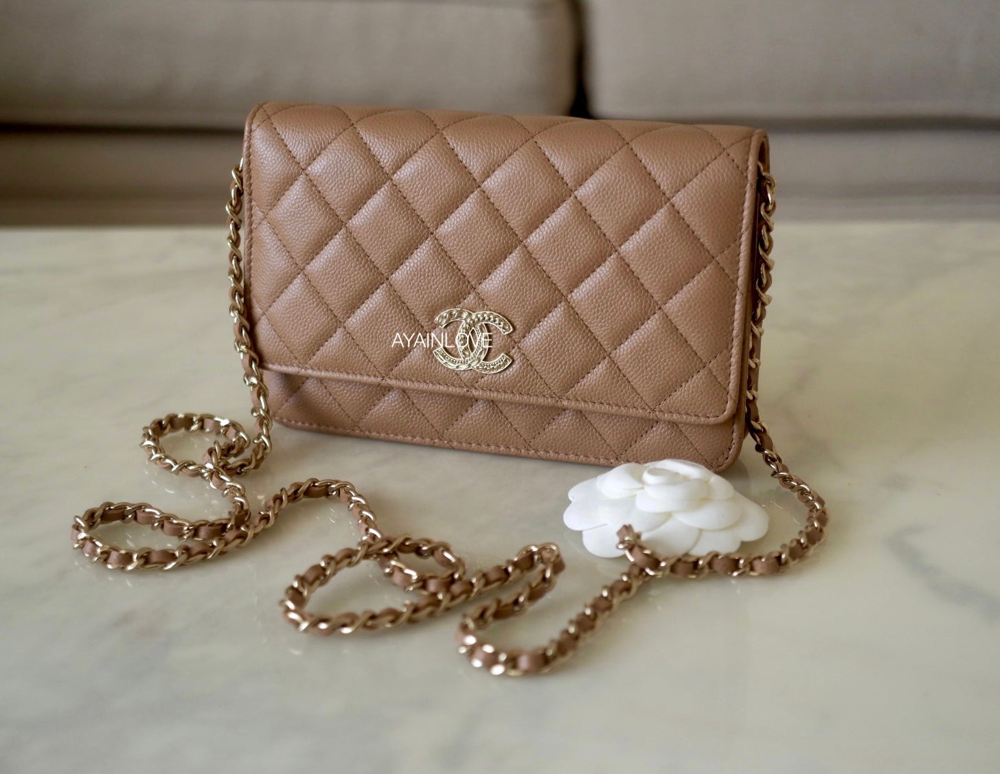 CHANEL Metallic Caviar Quilted Wallet on Chain WOC Beige 173578