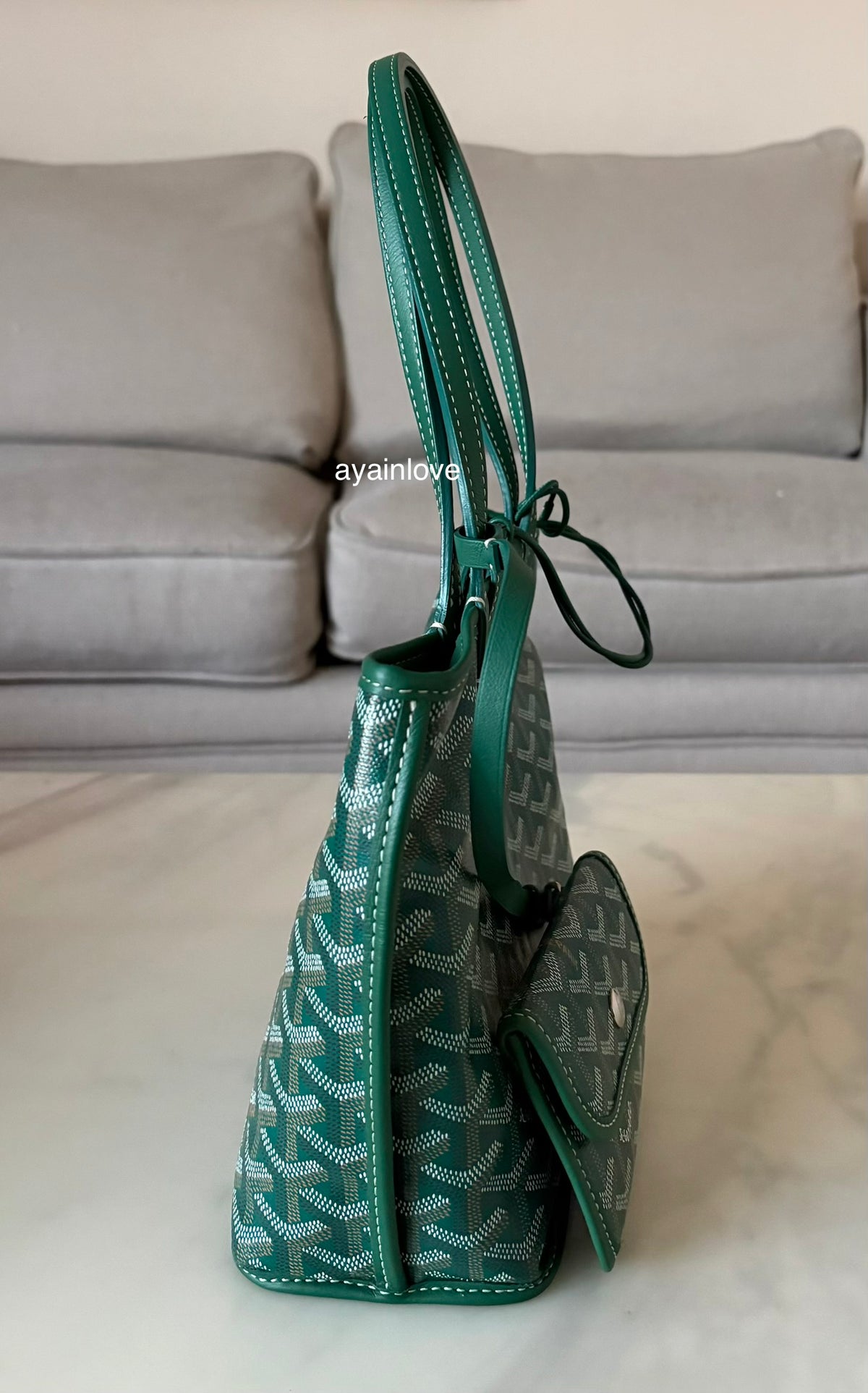 GOYARD Anjou Mini Green Goyardline Canvas/Calfskin Reversible Tote Bag