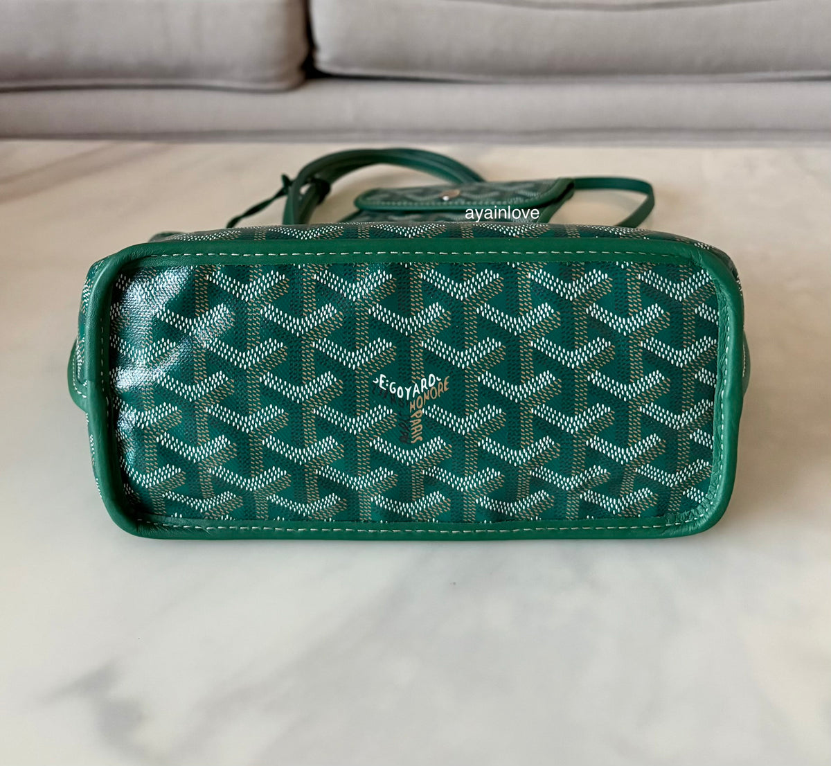 GOYARD Anjou Mini Green Goyardline Canvas/Calfskin Reversible Tote Bag