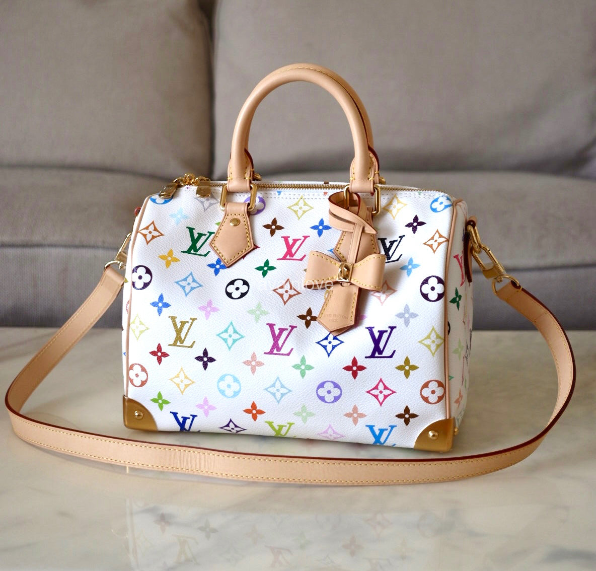 LOUIS VUITTON LV x TM White Multicolour Murakami Speedy 25 Gold Hardware