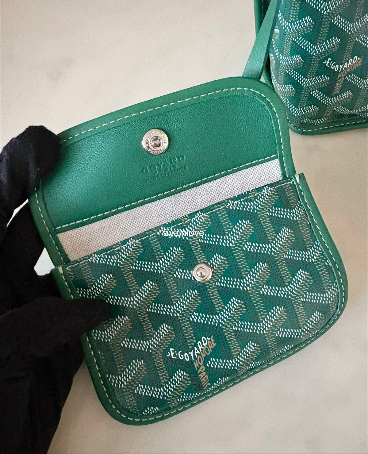 GOYARD Anjou Mini Green Goyardline Canvas/Calfskin Reversible Tote Bag
