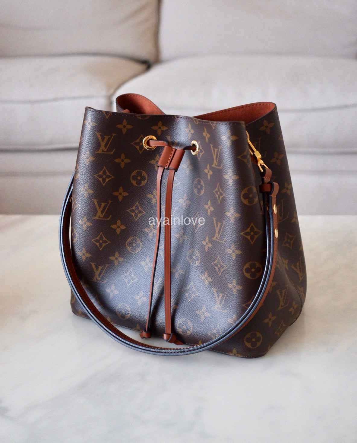 Louis Vuitton Neo Noe Bucket Bag