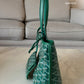 GOYARD Anjou Mini Green Goyardline Canvas/Calfskin Reversible Tote Bag