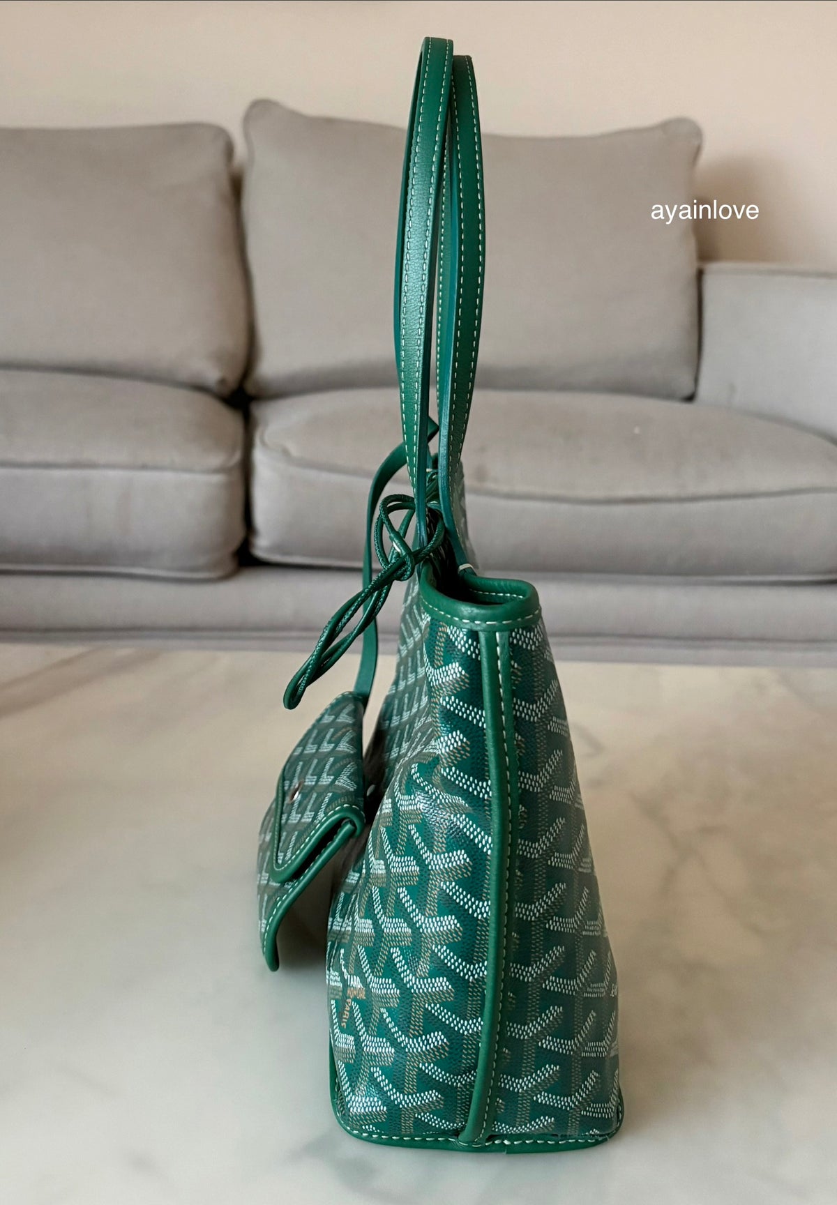 GOYARD Anjou Mini Green Goyardline Canvas/Calfskin Reversible Tote Bag