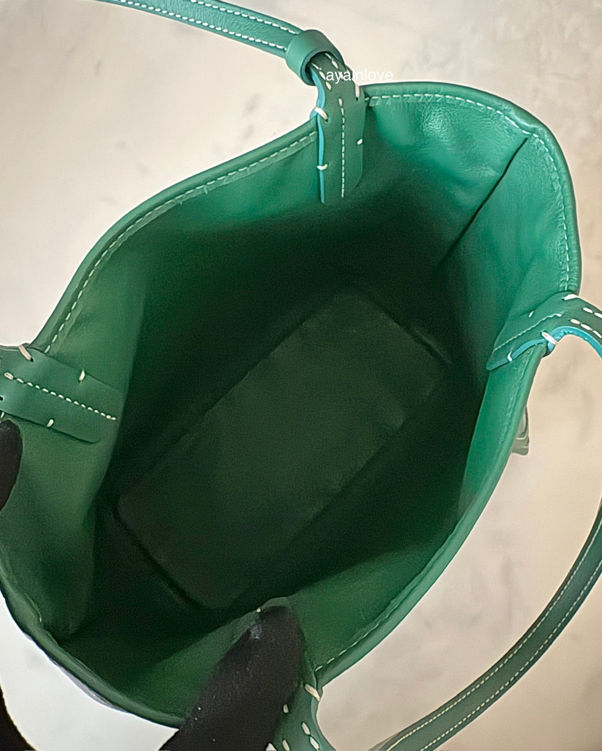 GOYARD Anjou Mini Green Goyardline Canvas/Calfskin Reversible Tote Bag