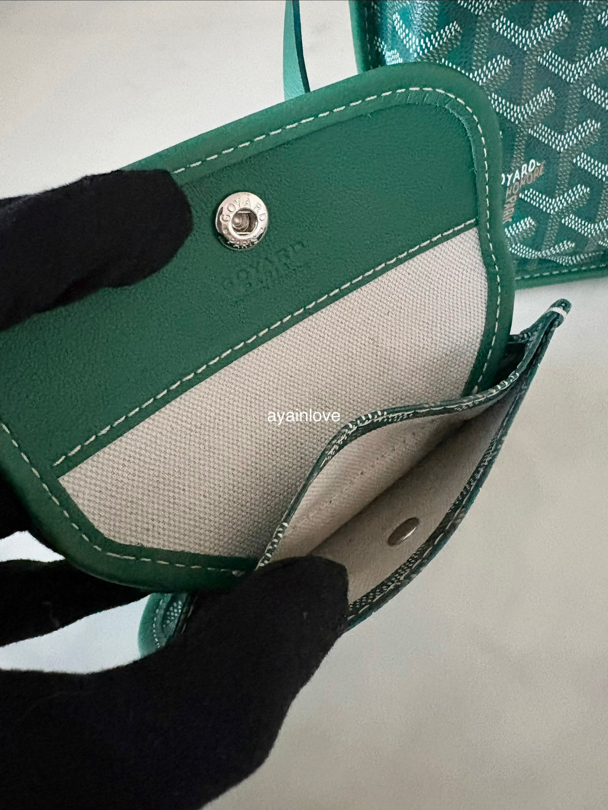 GOYARD Anjou Mini Green Goyardline Canvas/Calfskin Reversible Tote Bag