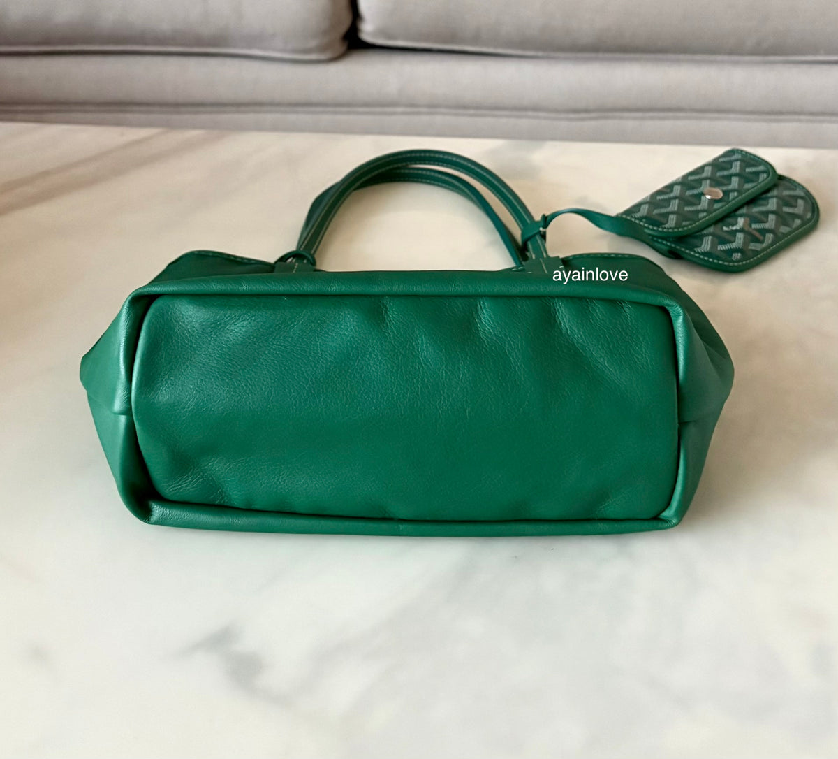 GOYARD Anjou Mini Green Goyardline Canvas/Calfskin Reversible Tote Bag