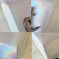CHANEL 14K Limited Edition Runway Iridescent Silver Goatskin Lait de Coco Milk Carton Bag Shiny Ruthenium Hardware