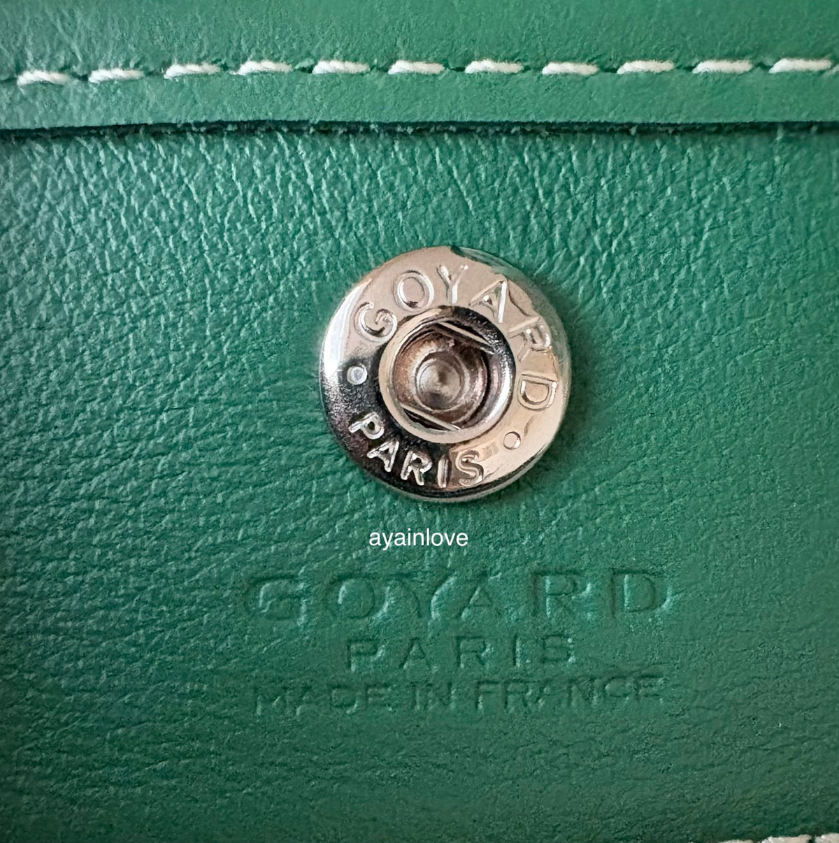 GOYARD Anjou Mini Green Goyardline Canvas/Calfskin Reversible Tote Bag