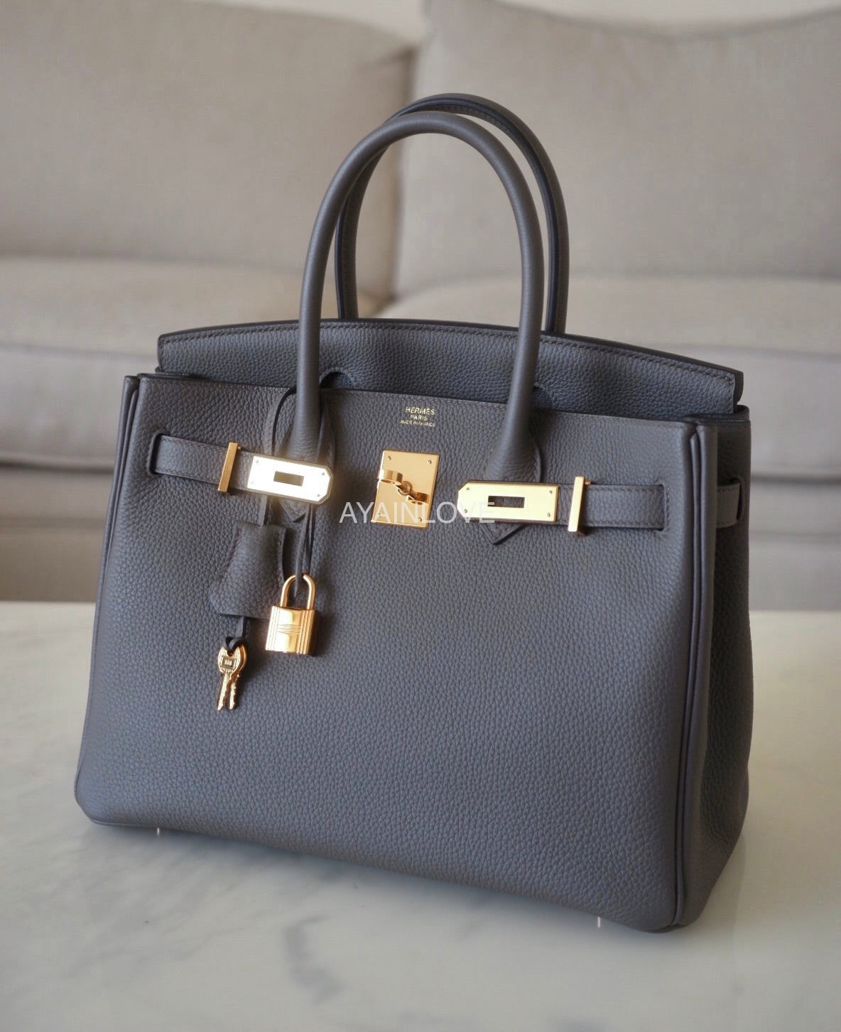Birkin 30 togo online