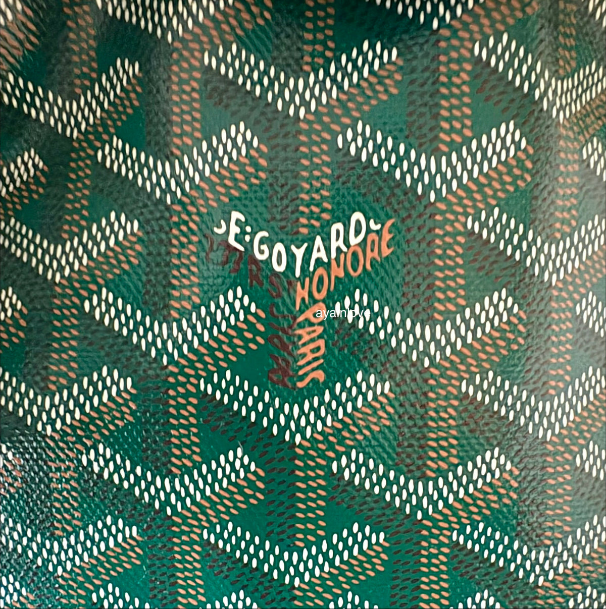 GOYARD Anjou Mini Green Goyardline Canvas/Calfskin Reversible Tote Bag