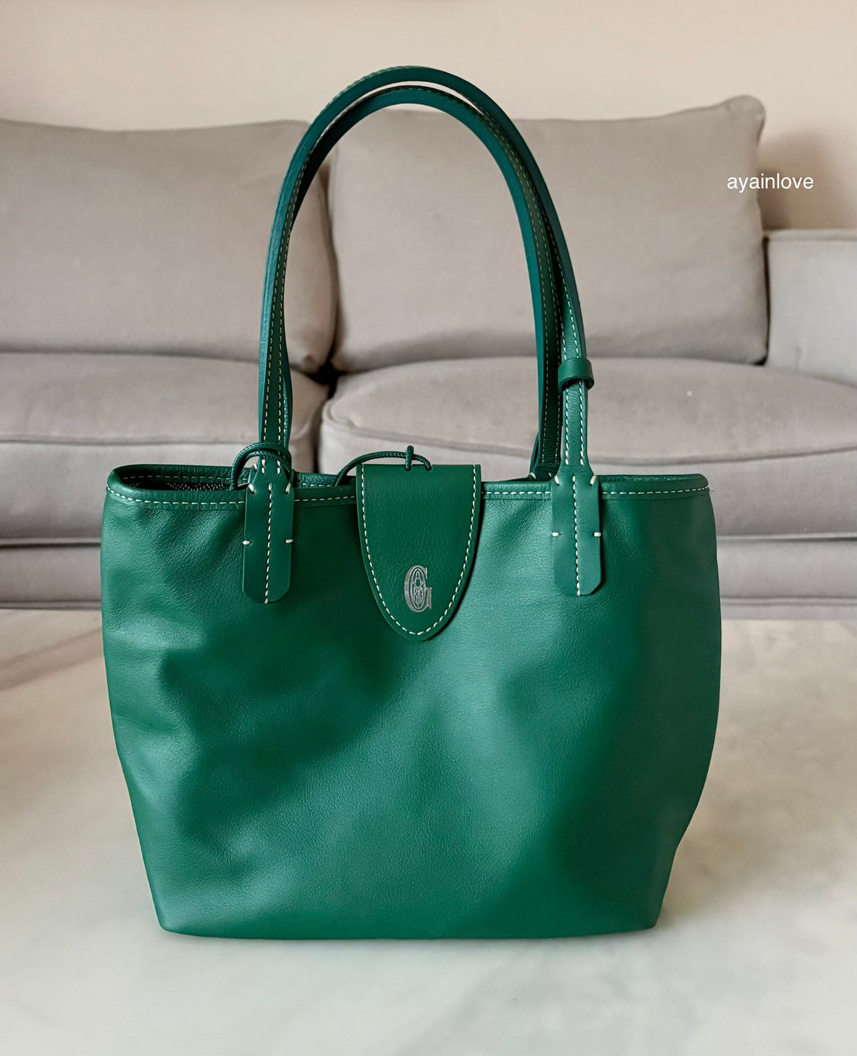 GOYARD Anjou Mini Green Goyardline Canvas/Calfskin Reversible Tote Bag
