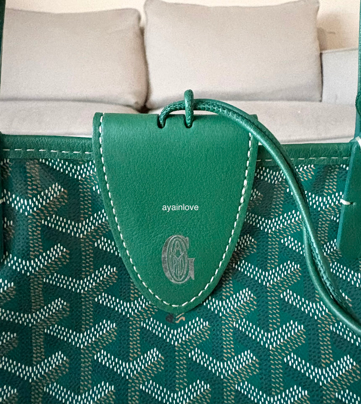GOYARD Anjou Mini Green Goyardline Canvas/Calfskin Reversible Tote Bag