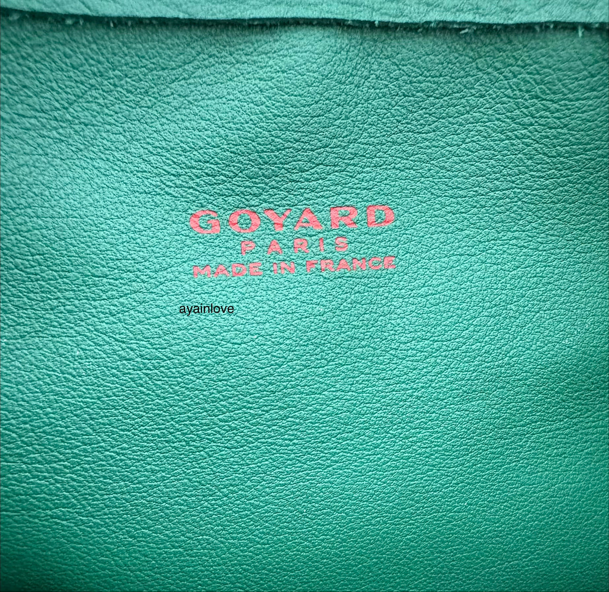 GOYARD Anjou Mini Green Goyardline Canvas/Calfskin Reversible Tote Bag