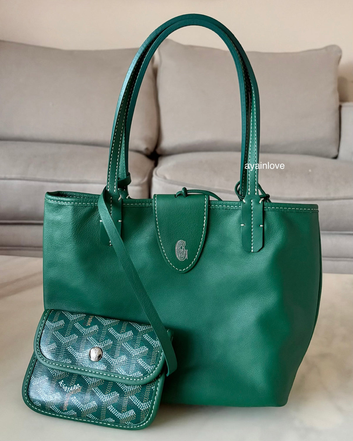 GOYARD Anjou Mini Green Goyardline Canvas/Calfskin Reversible Tote Bag