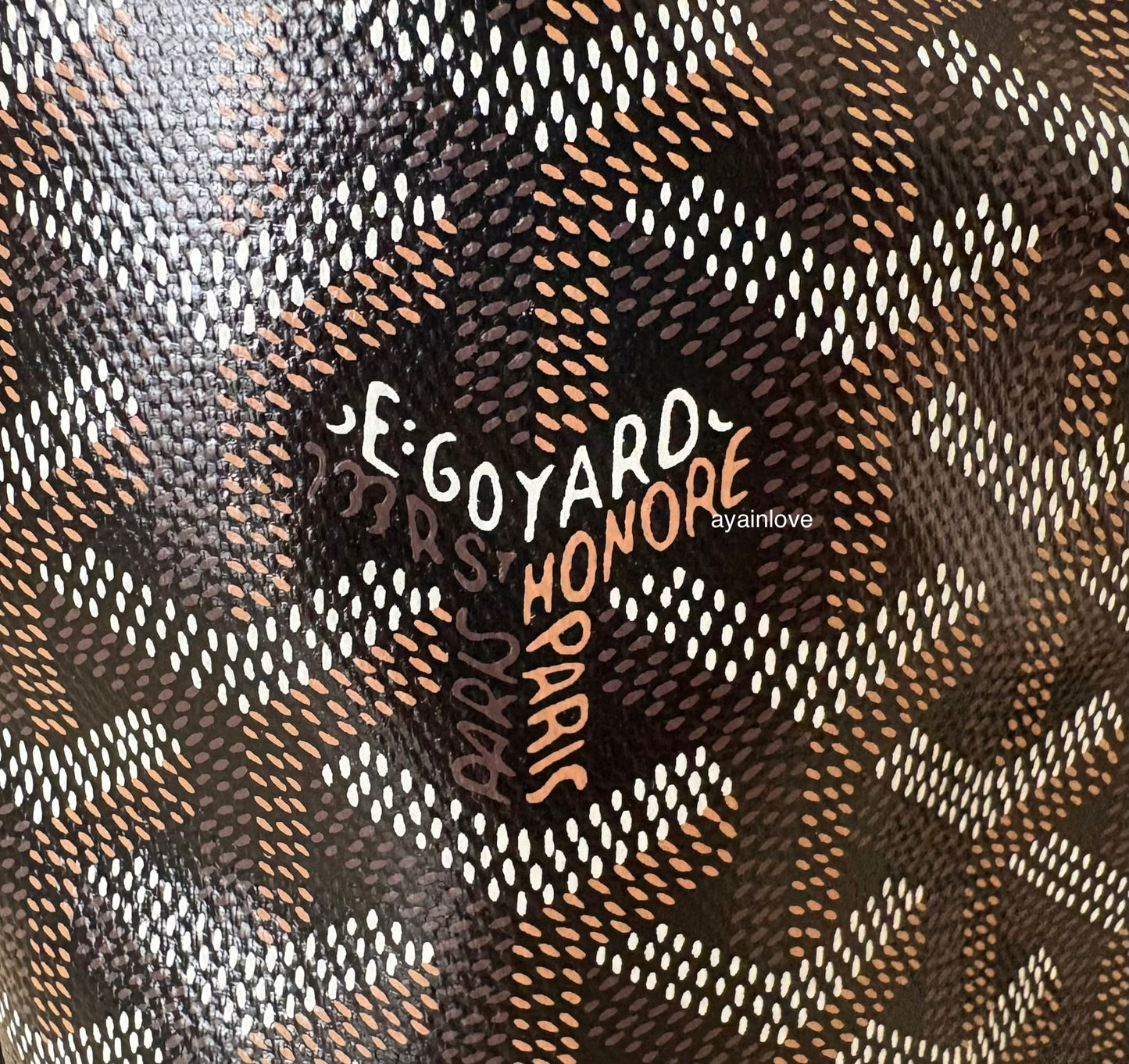 GOYARD Anjou Mini Goyardline Canvas/Calfskin Reversible Tote Bag