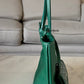 GOYARD Anjou Mini Green Goyardline Canvas/Calfskin Reversible Tote Bag