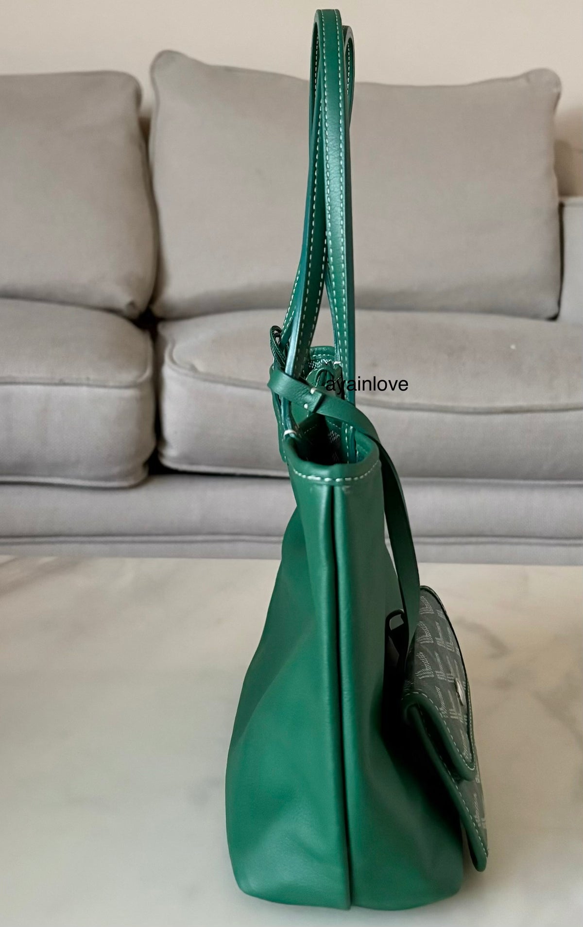 GOYARD Anjou Mini Green Goyardline Canvas/Calfskin Reversible Tote Bag