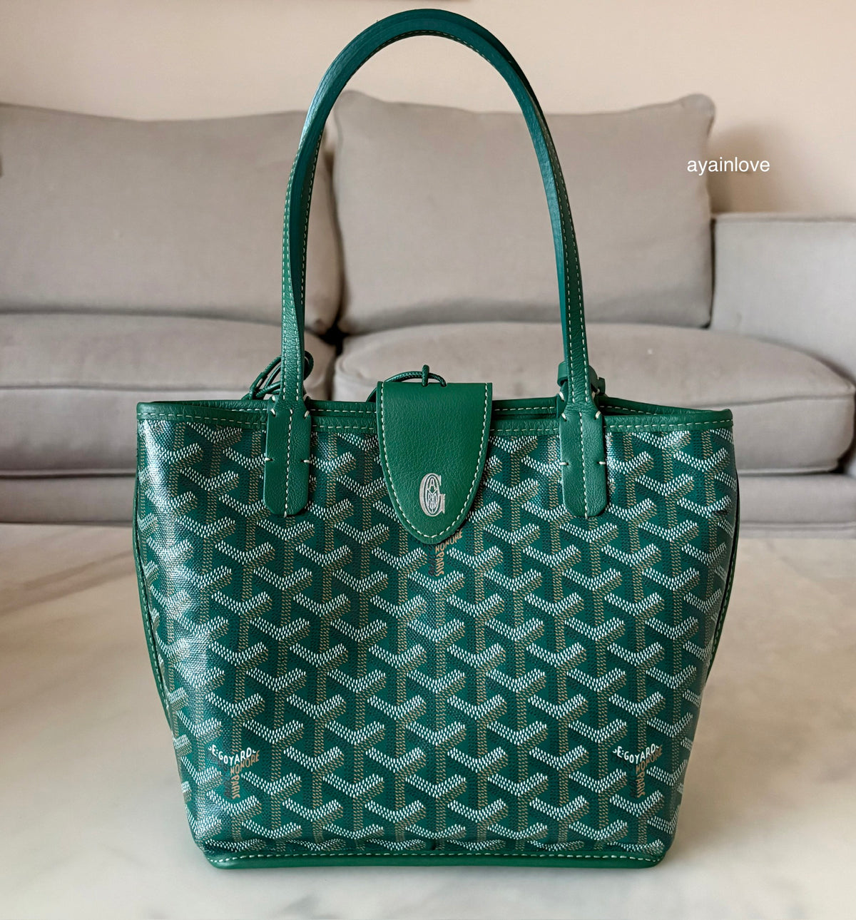 GOYARD Anjou Mini Green Goyardline Canvas/Calfskin Reversible Tote Bag