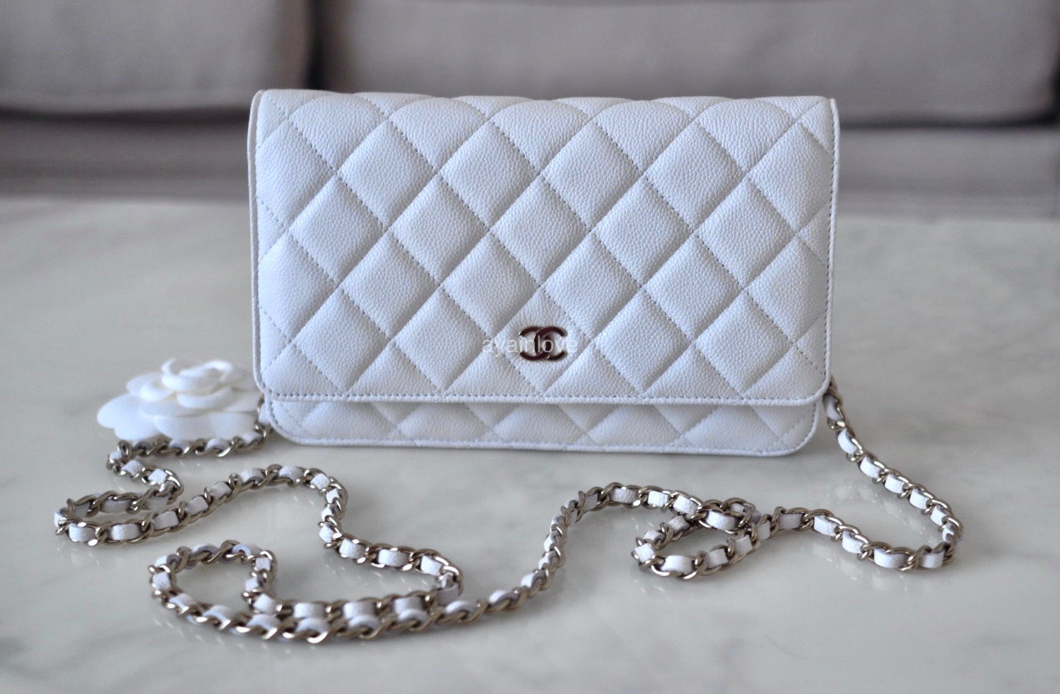 Chanel Wallet On Chain Caviar Silver Hardware CHANEL 23K White