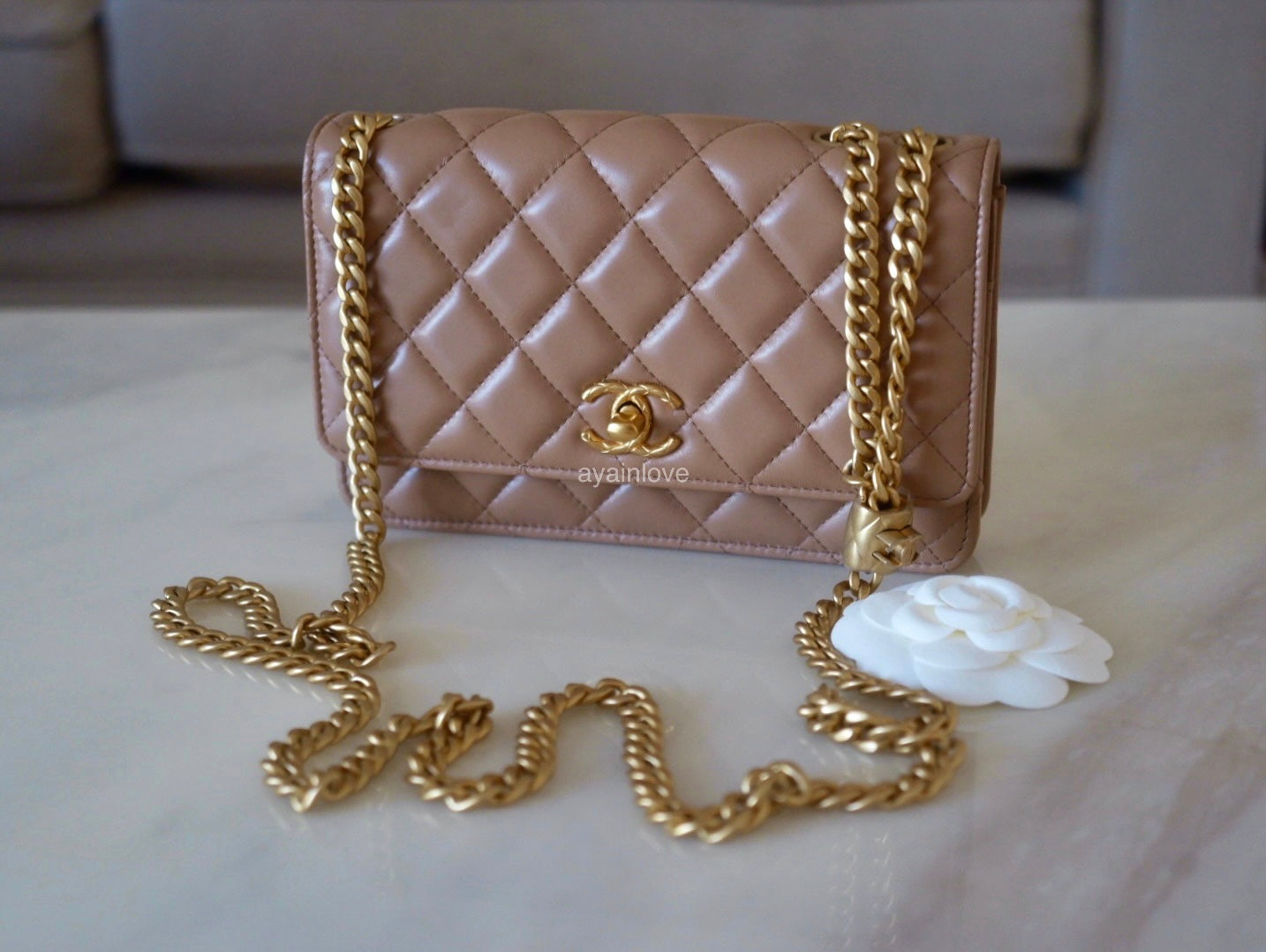Chanel Wallet on Chain, 22A Dark Beige Caviar Leather, Gold Hardware, New  in Box GA002