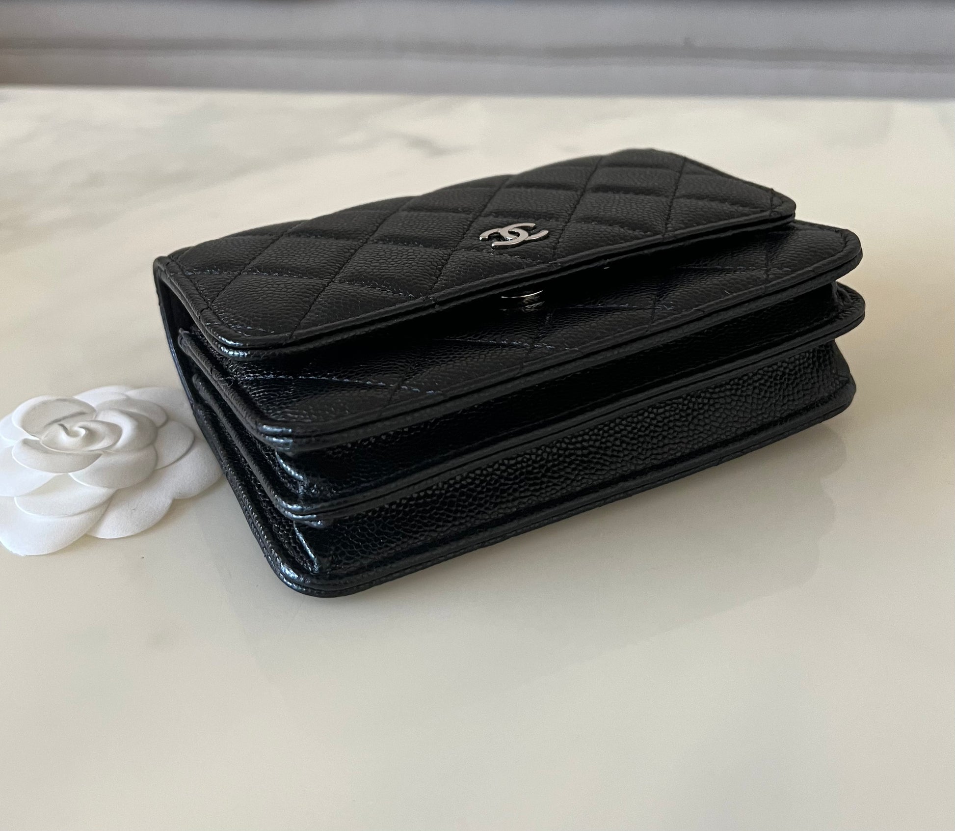 Mini 2025 chanel wallet