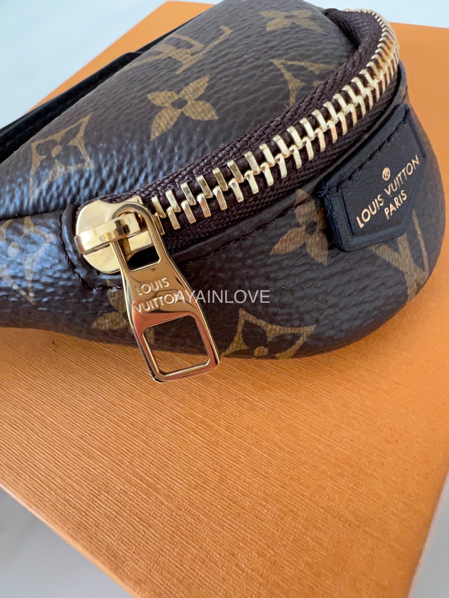 Louis Vuitton, Jewelry, New In Box Authentic Louis Vuitton Monogram Party  Bumbag Bracelet
