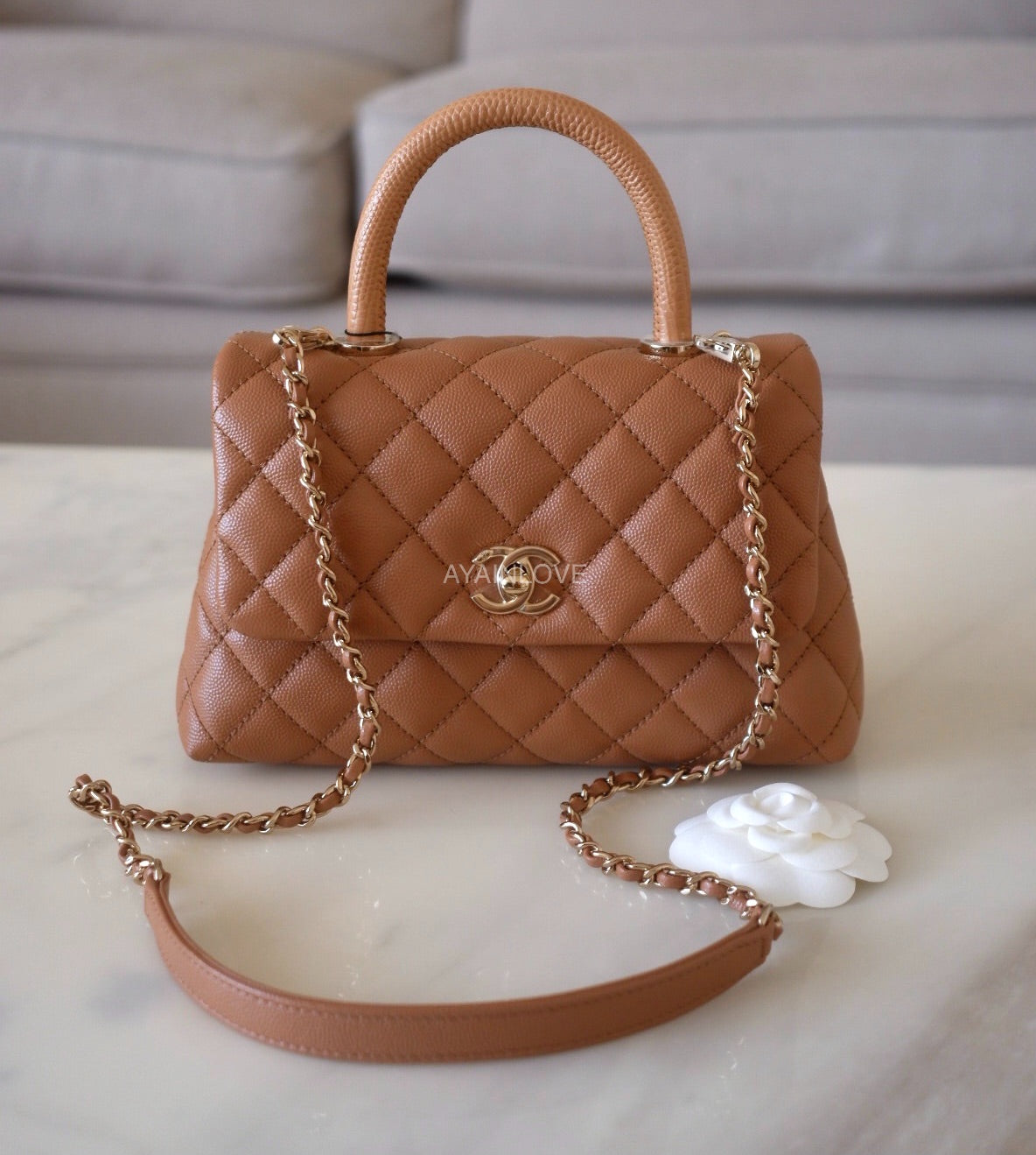 Coco handle 21p Clearance