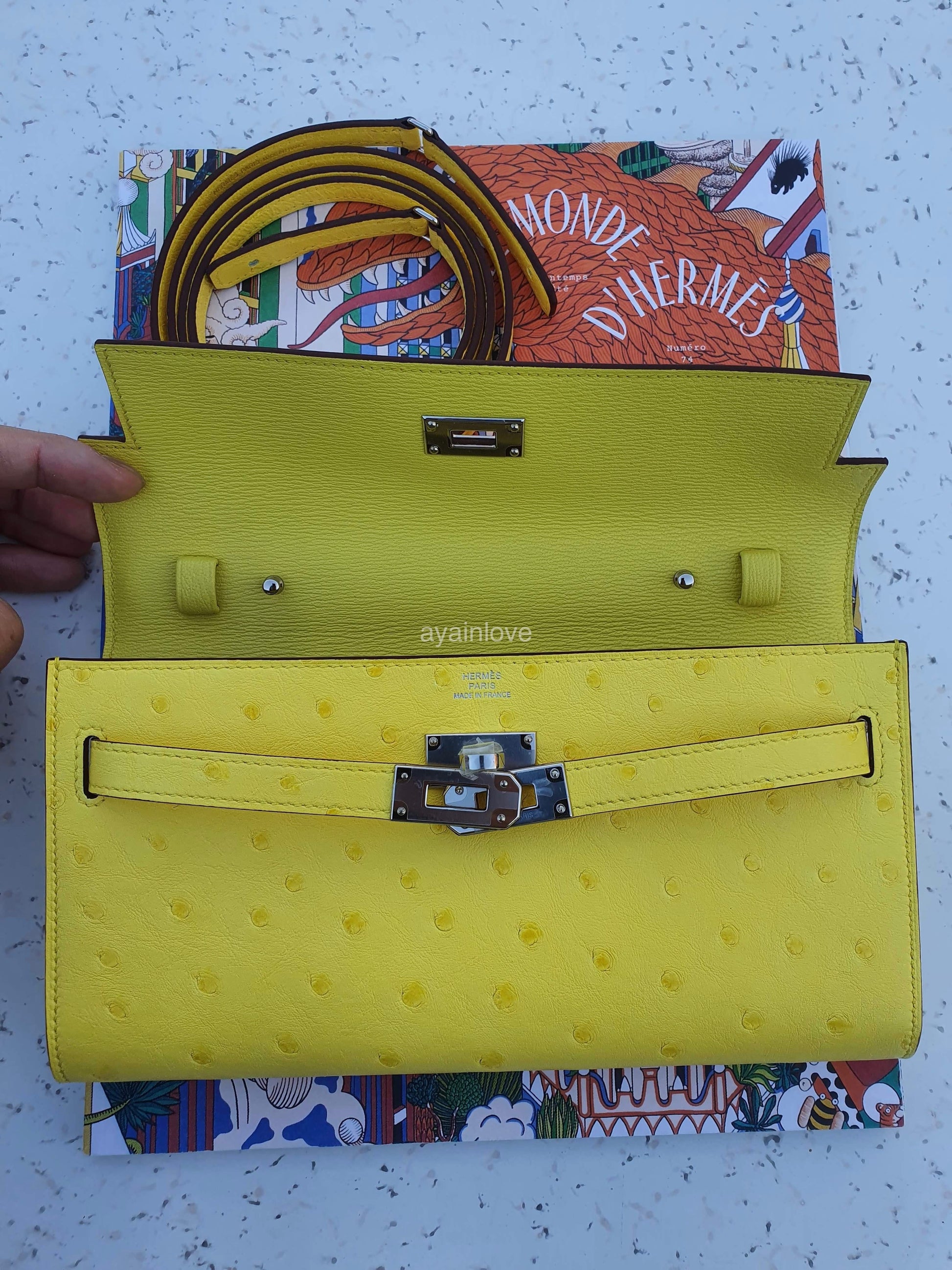 Hermes Kelly Pochette: Ostrich Handbag