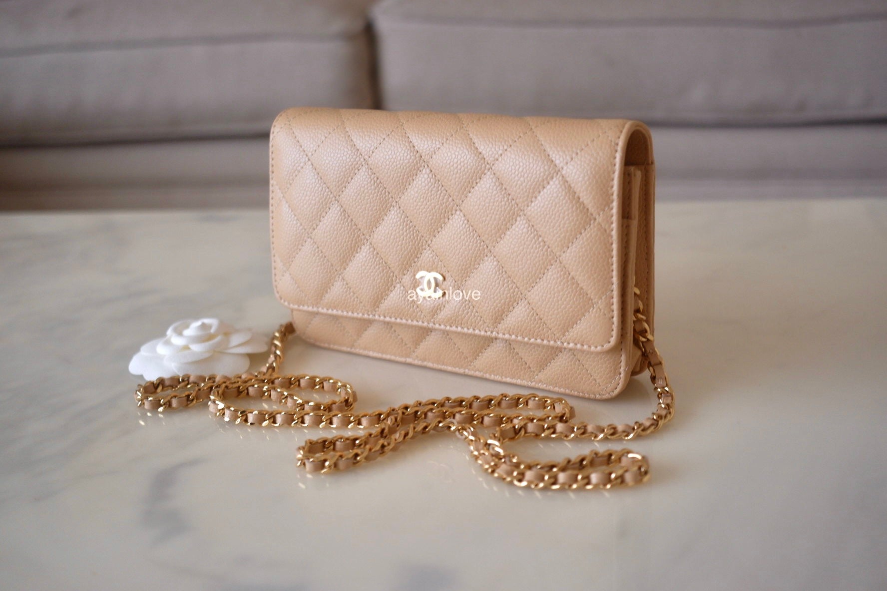 Túi Chanel Wallet On Chain Denim  GoldTone Metal Bag